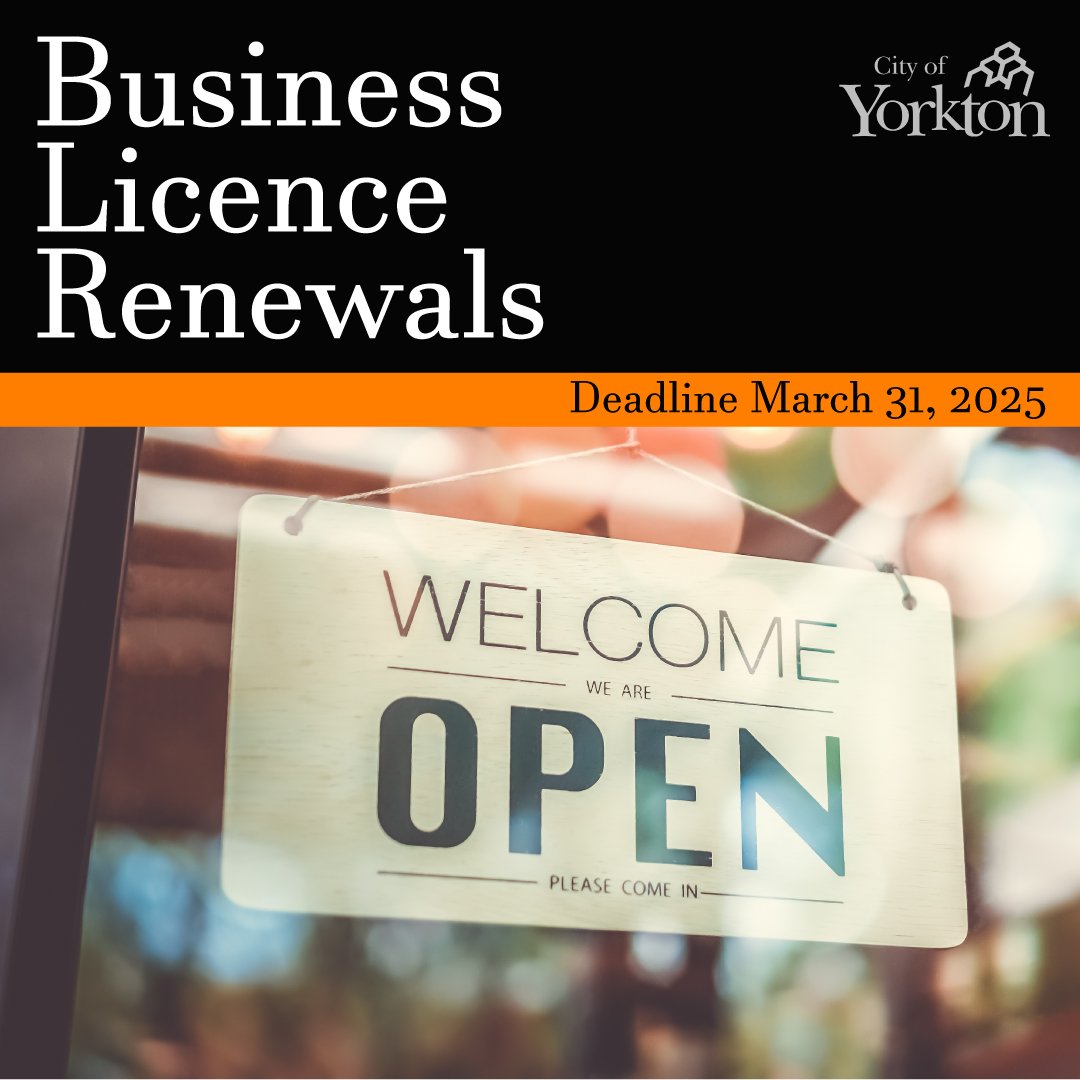 business licence image